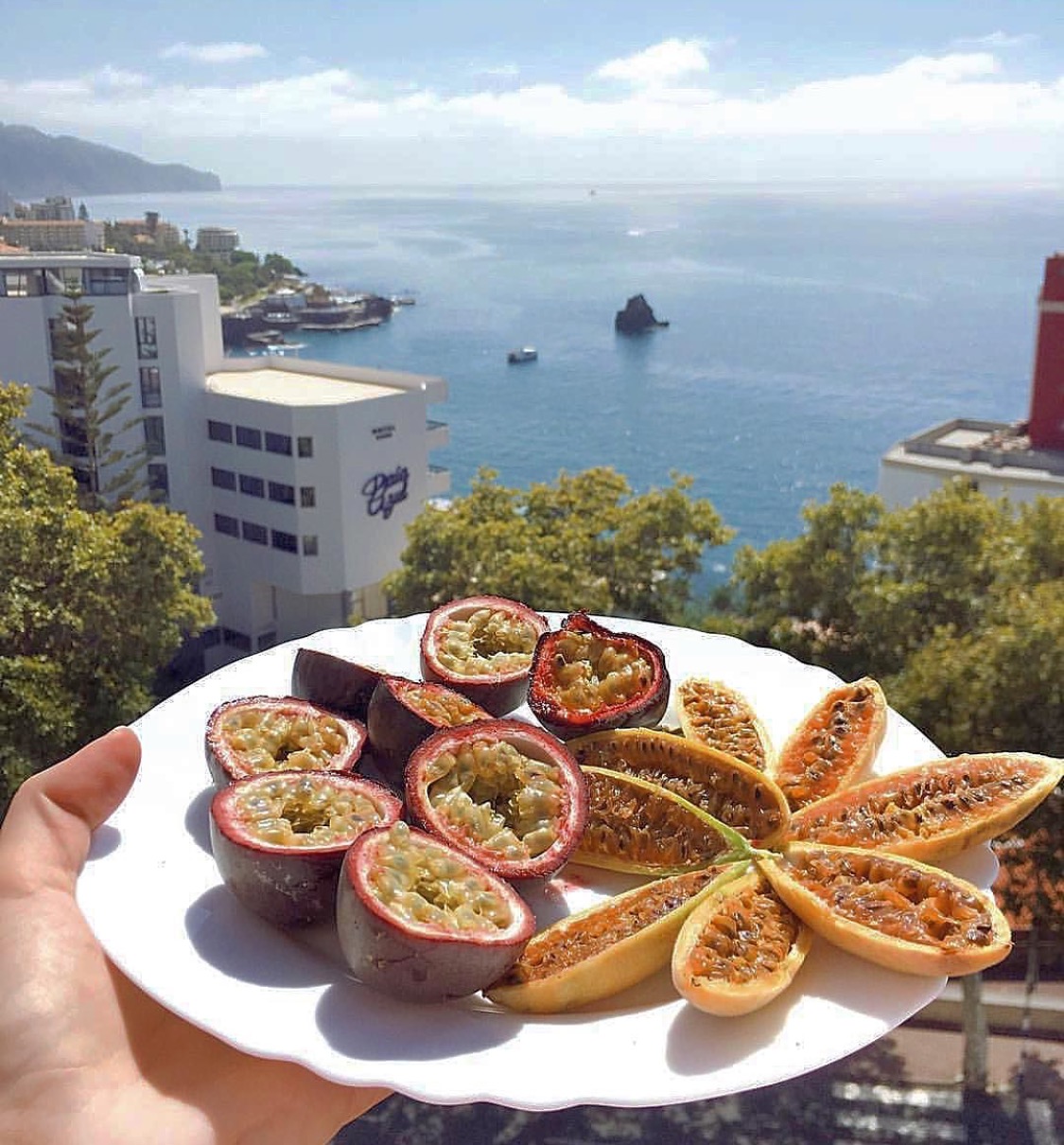 8 Things to Know About Madeira Island in Portugal Slaylebrity