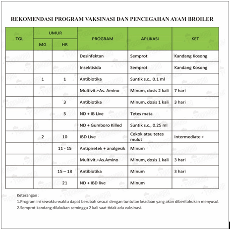 Kenali 3 Metode Vaksinasi Ayam Broiler Beserta Jadwalnya