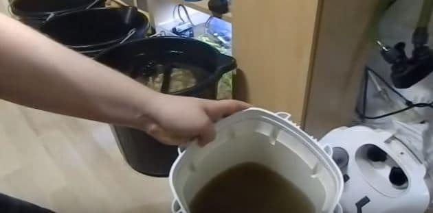 Cleaning fish tank filter in a perfect manner?