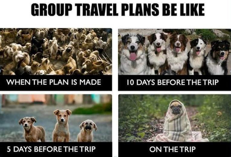 55 Funny Travel + Vacation Memes Most Popular Travel Memes of 2019