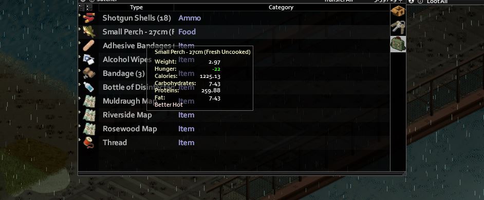 How to fish in Project Zomboid Build 41 — Set Ready Game