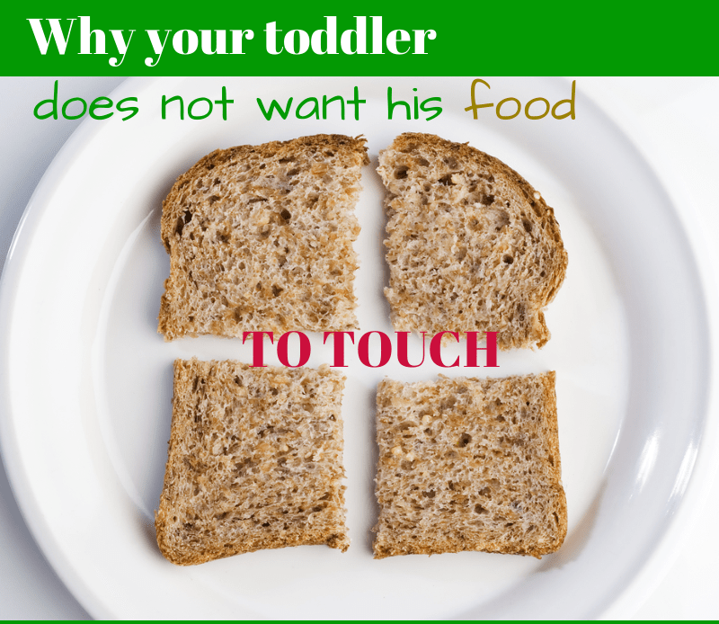 Why your toddler does not want his food to touch Feeding Bytes