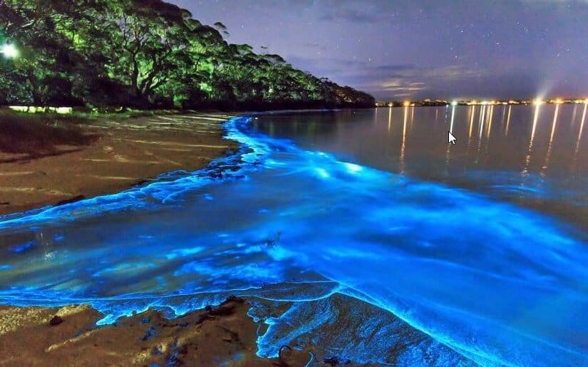 Adventure Honeymooning Puerto Rico HoneyTrek