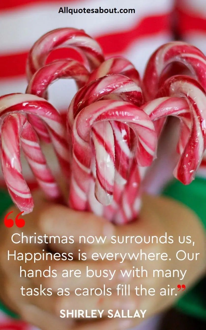 Candy Cane Quotes Lisa sieczka getty images