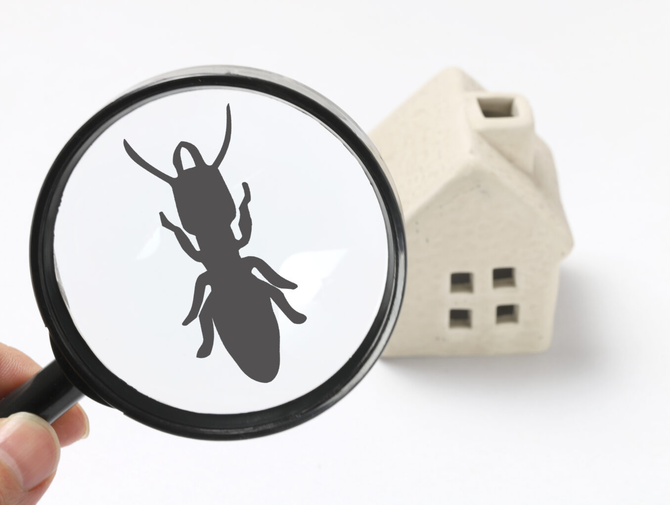 Termite Inspection Omaha