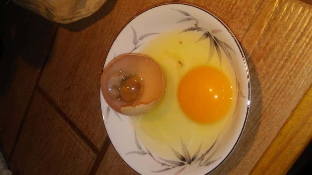 Store Chicken Hatching Eggs Like A Pro 3 Deadly Mistakes You Need To