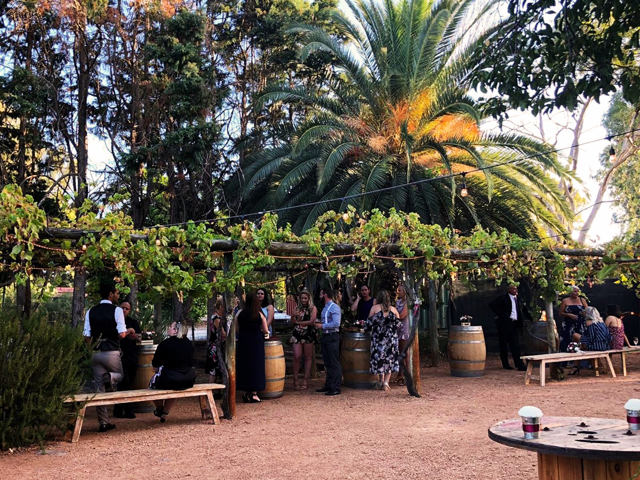 Rustique Swan Valley Wedding Function Event Venue Venue Maestro