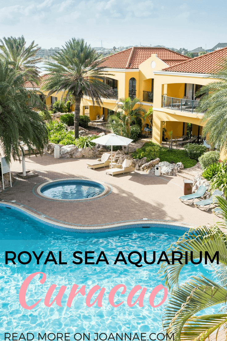 A Solo Traveler's Experience at The Royal Sea Aquarium Resort Curacao