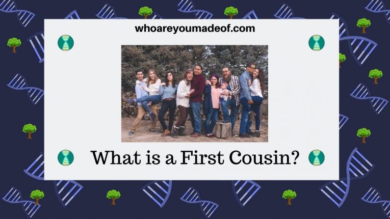 What is a First Cousin? Who are You Made Of?