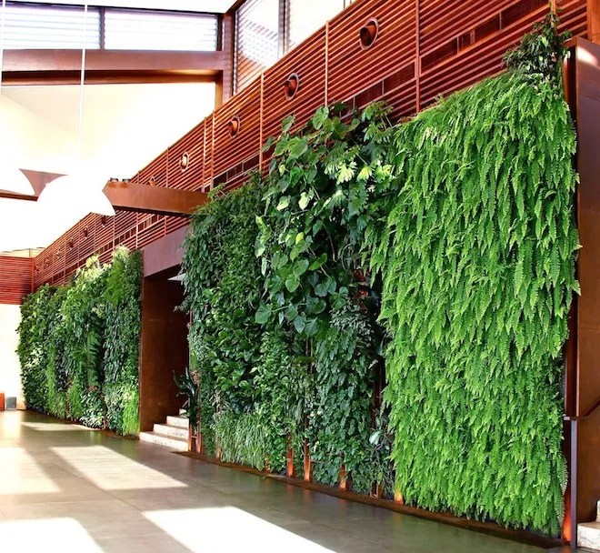 Vertical gardens in Lebanon based on traditional Arabia designs Green