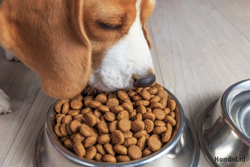 Top 7 Beste Hondenbrokken Van 2022 - Hond.nl