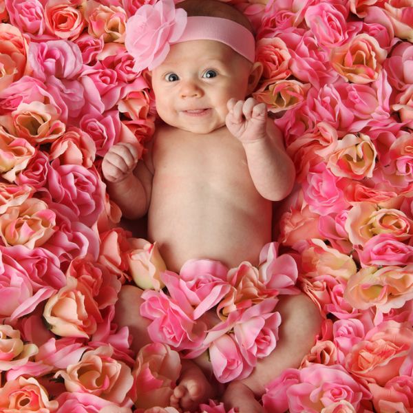 Baby Girl Names Meaning Rose Flower Best Flower Site