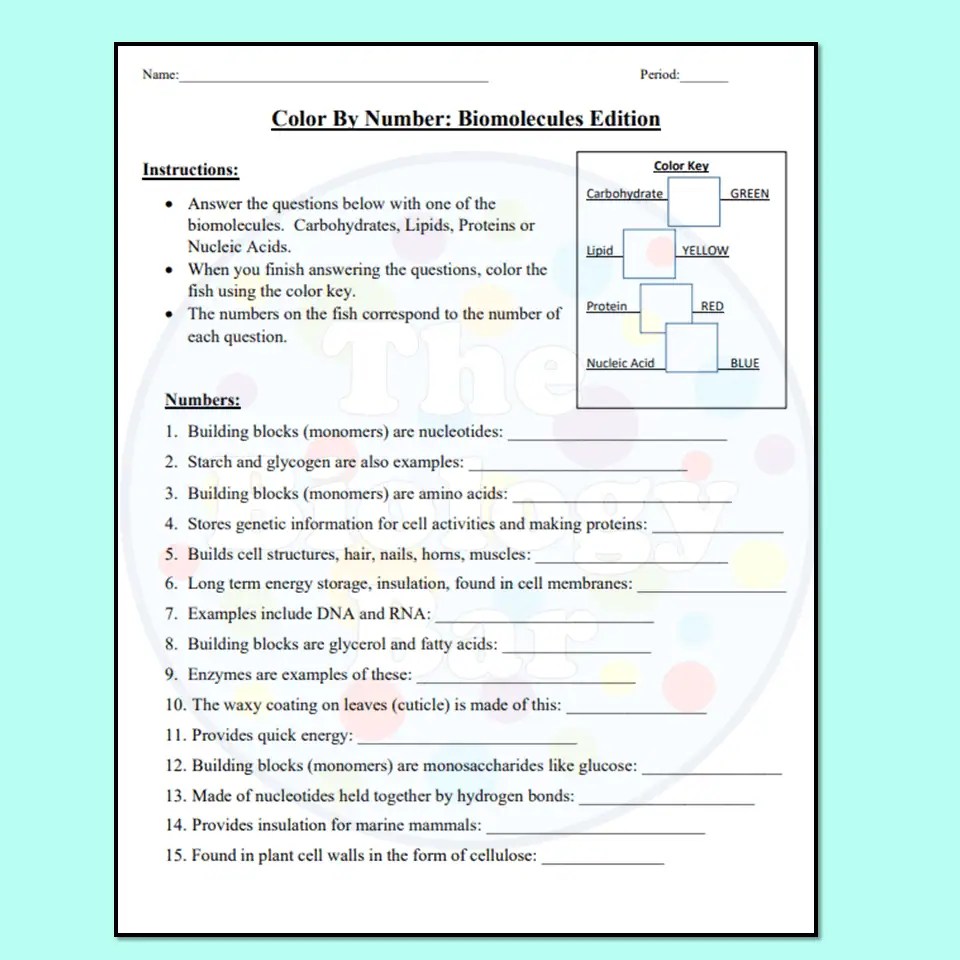 Biomolecules Color By Number Made By Teachers