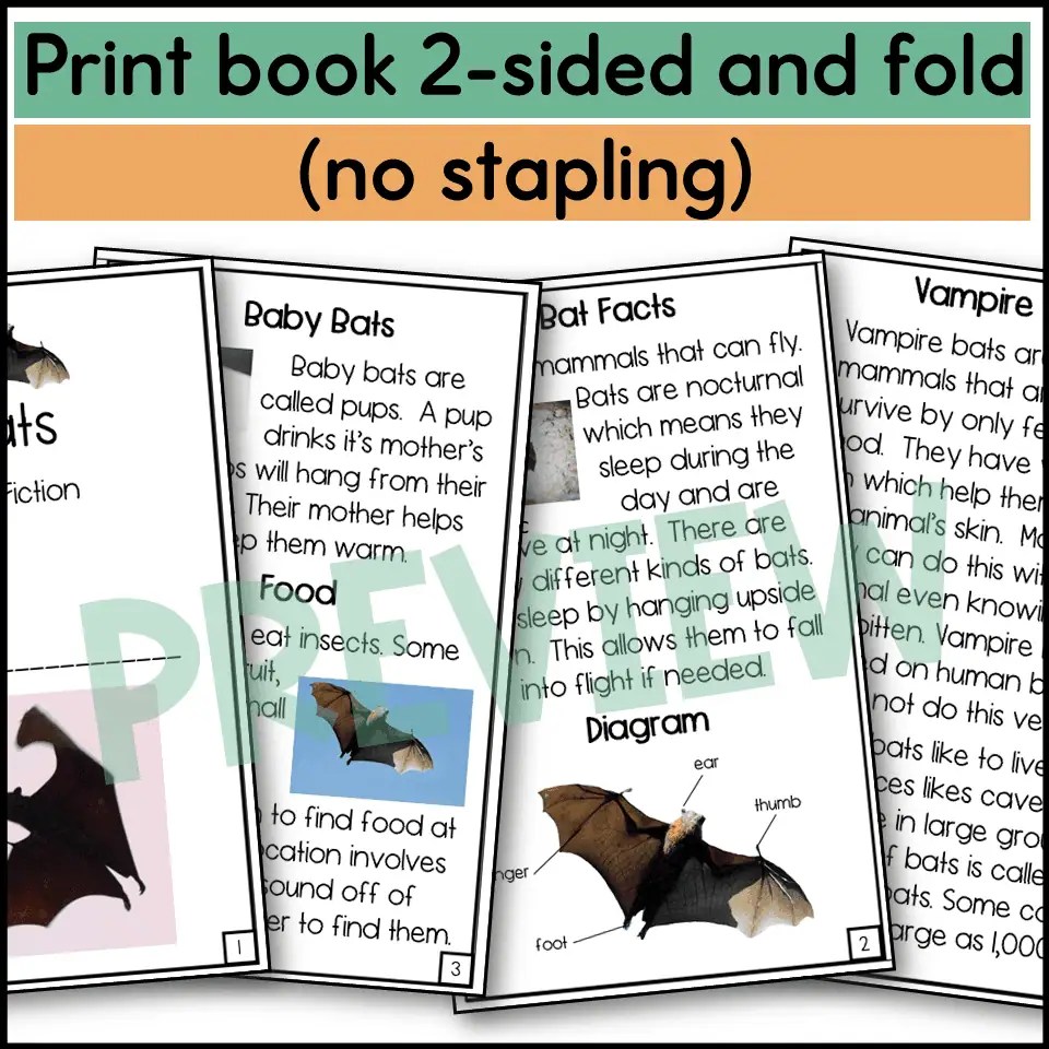 Bat Nonfiction Book and Craft Made By Teachers