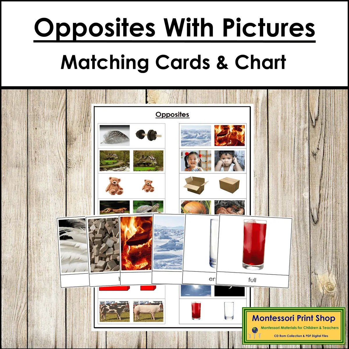 Opposites with Pictures Matching Cards & Control Chart Made By Teachers