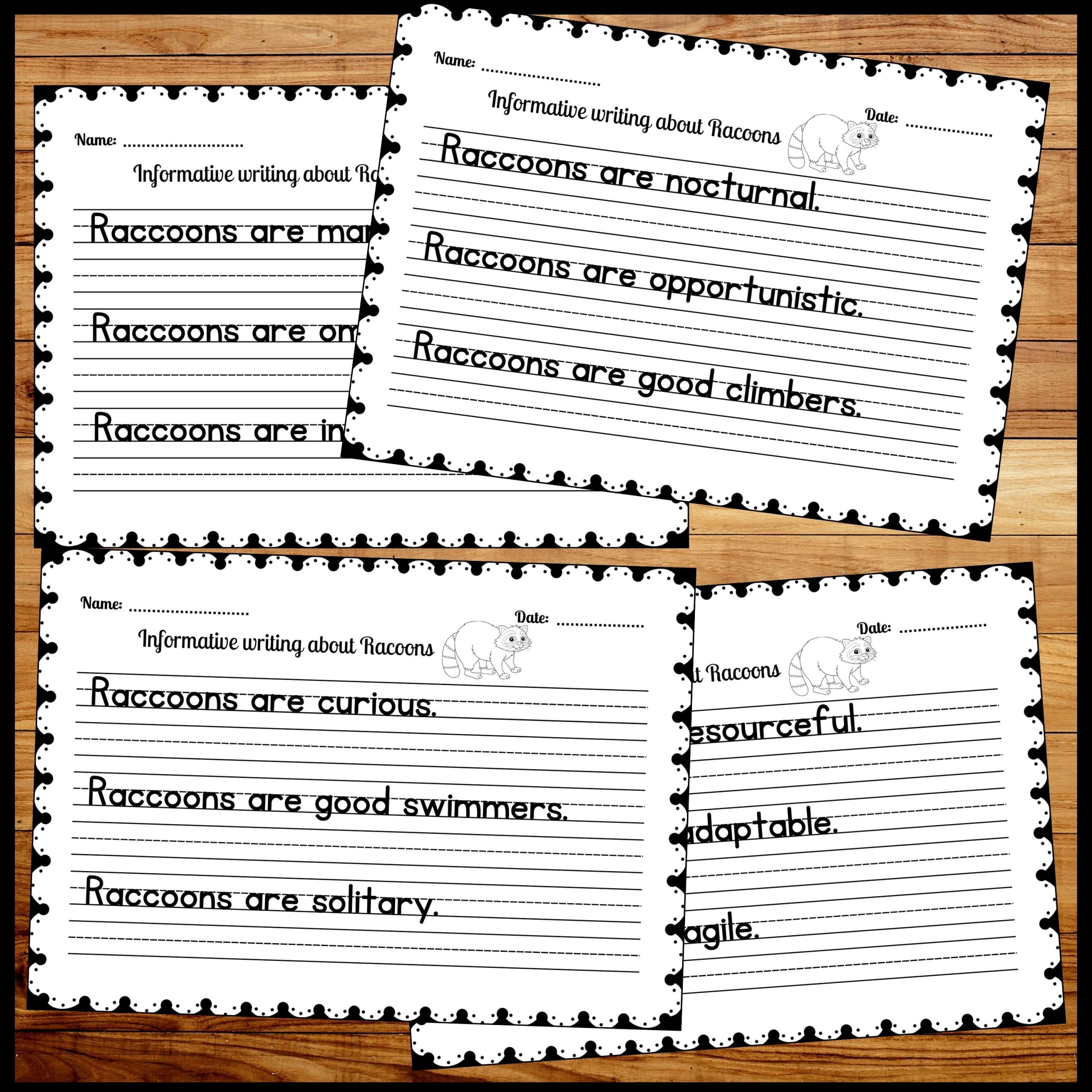 Raccoons Informative Sentence Writing Practice Worksheets with True