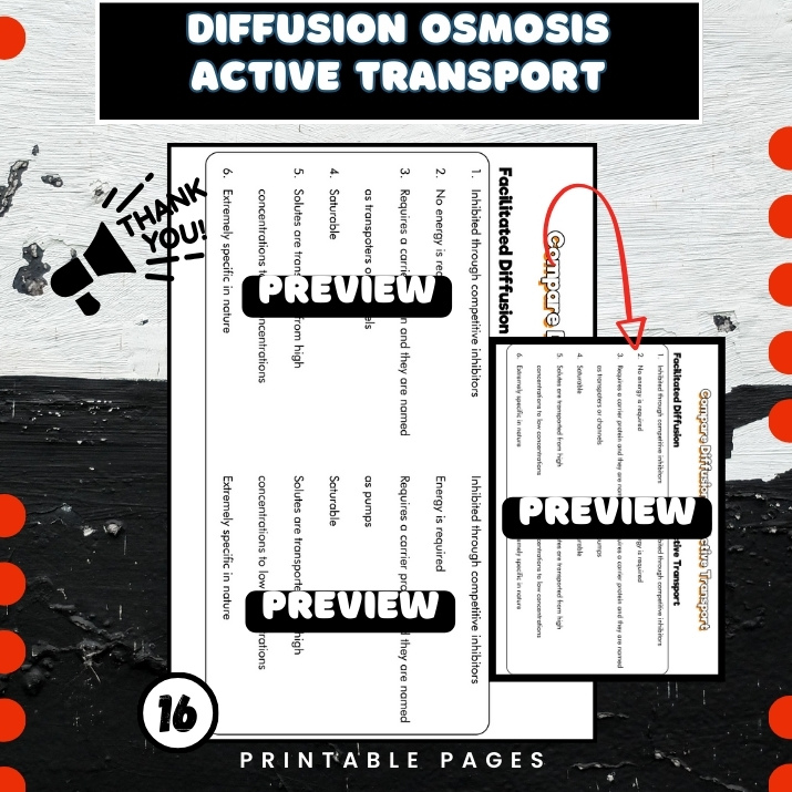 Diffusion Osmosis Active Transport Worksheet Made By Teachers