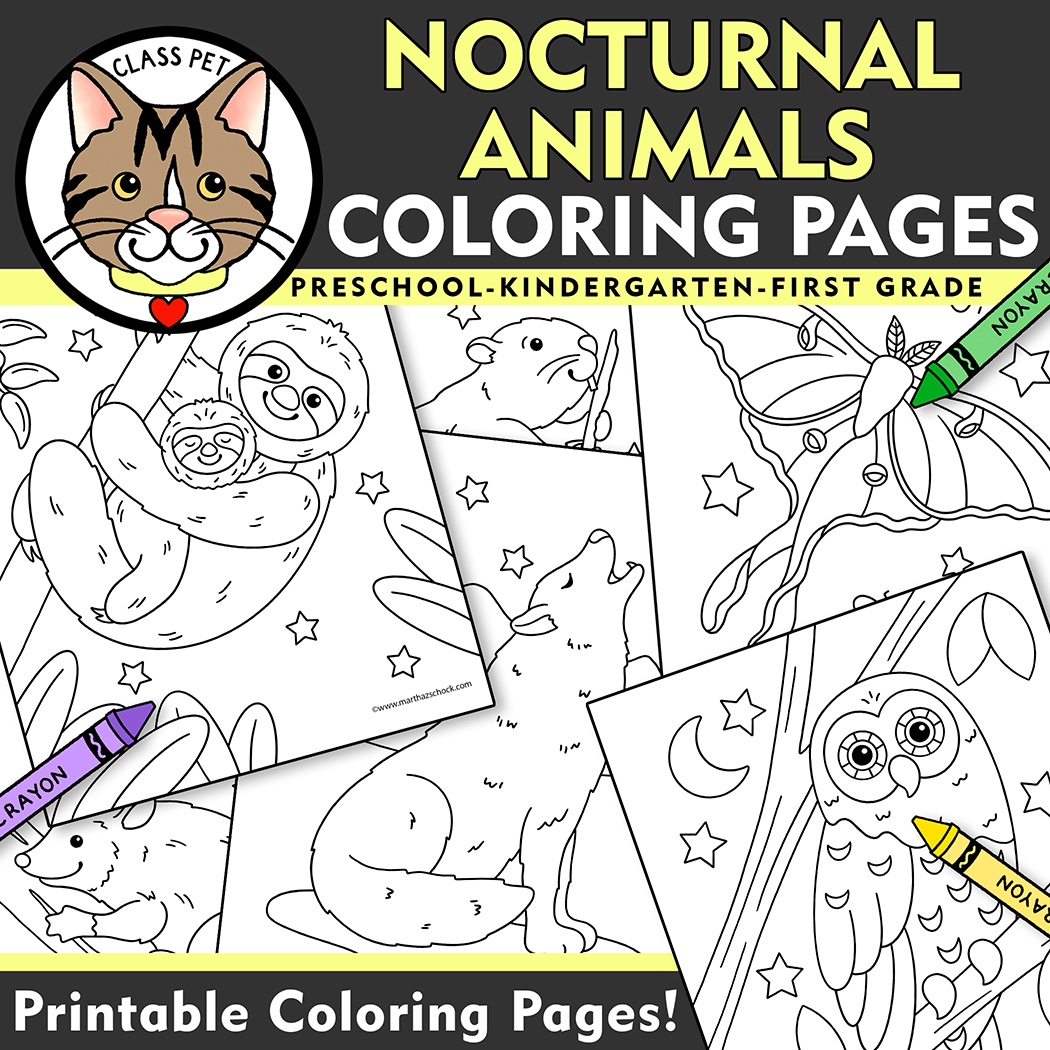 Nocturnal Animals Coloring Pages