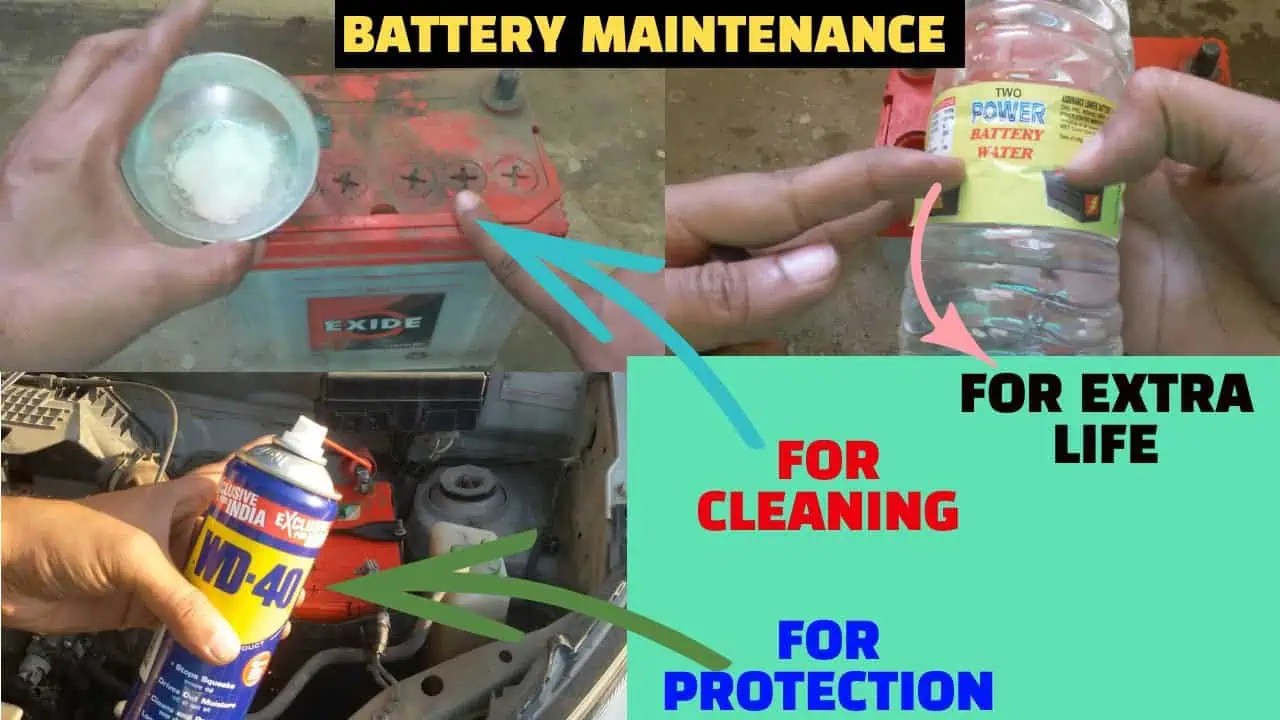 How to service a car battery at home Trust My Mechanic