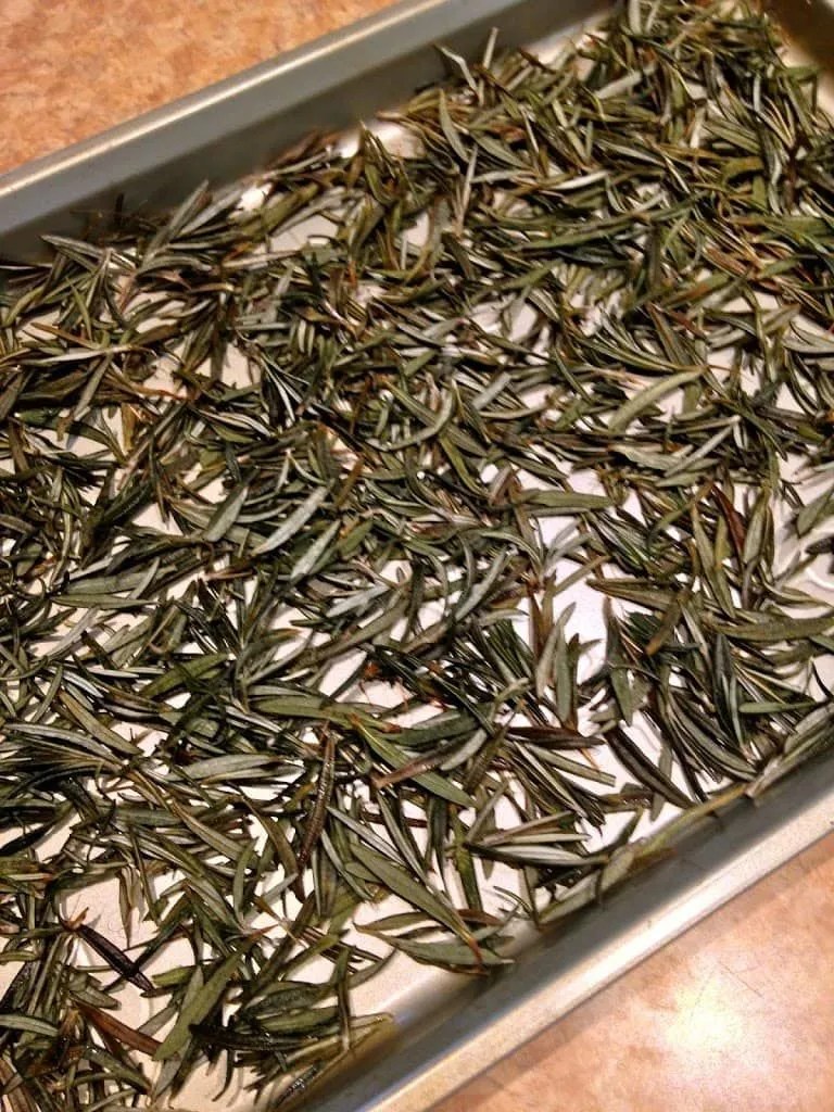 How to Dry Rosemary StepbyStep Guide on Preserving Fresh Rosemary