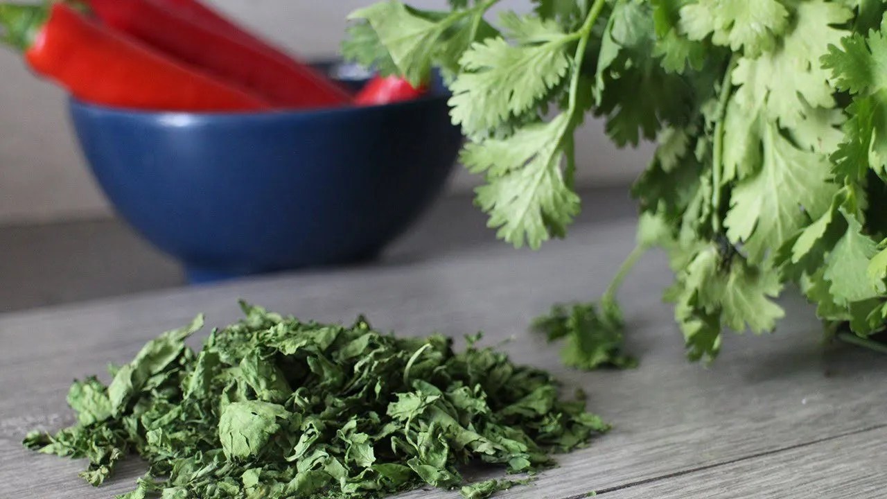 How to Dry Cilantro Four Ways to make Dried Cilantro At Home