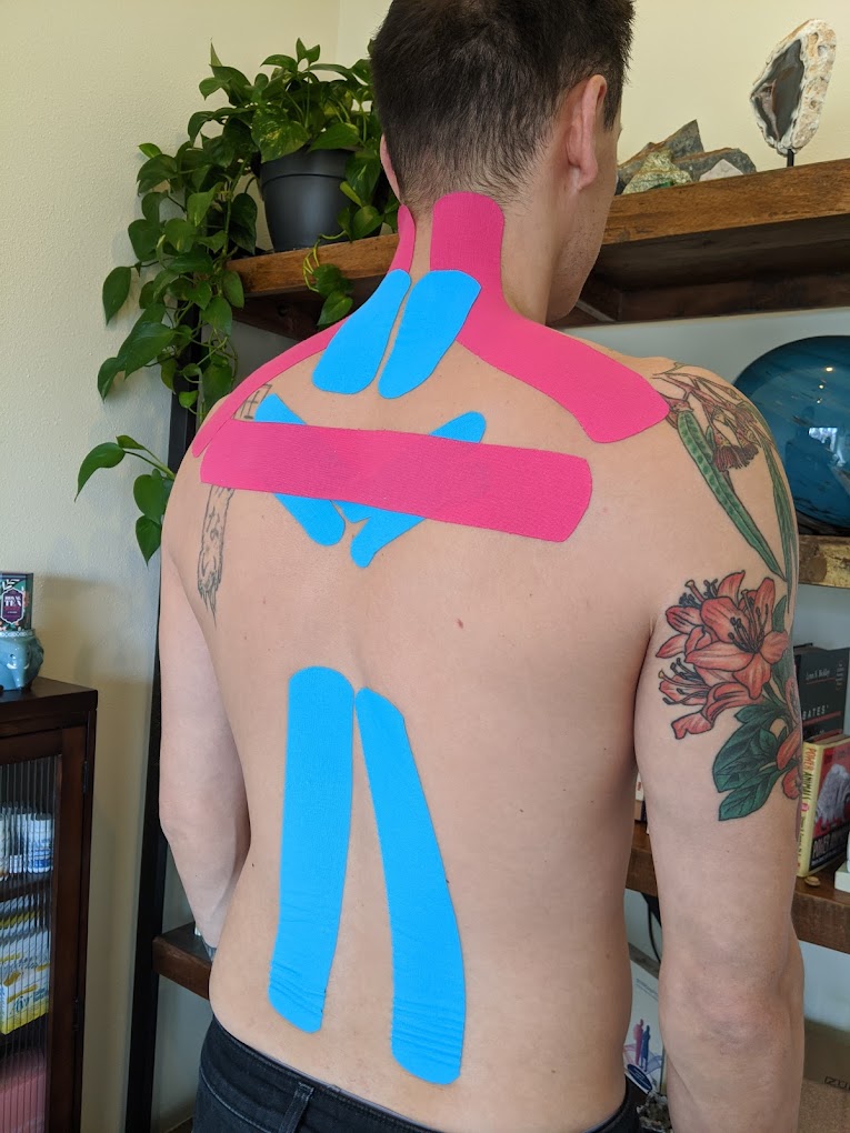 Meet Kelsey Asplin Naturopathic Doctor, CoAND President SHOUTOUT