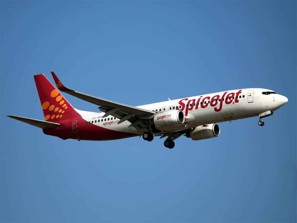 SpiceJet opens booking for domestic flights
