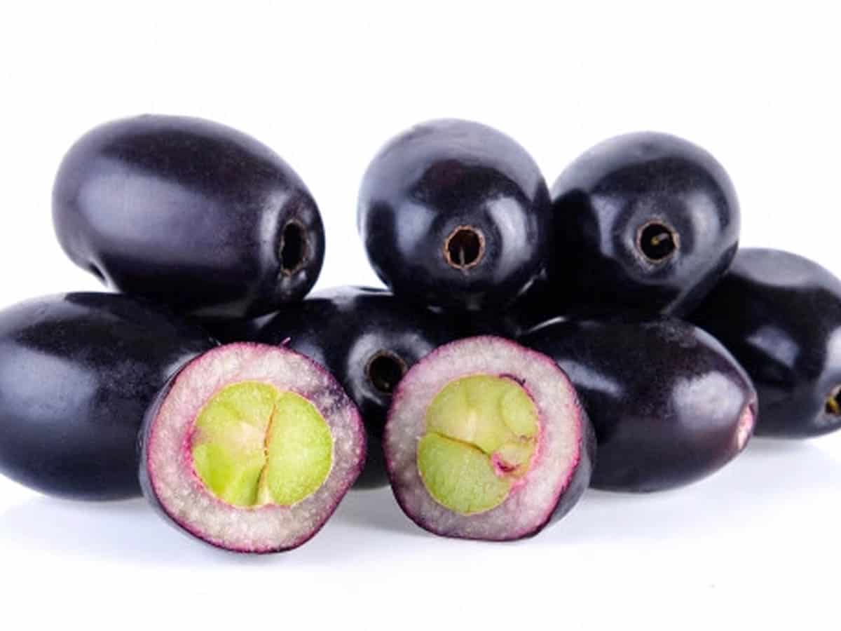 It's the nutririch, medicinal Jamun season of the year!