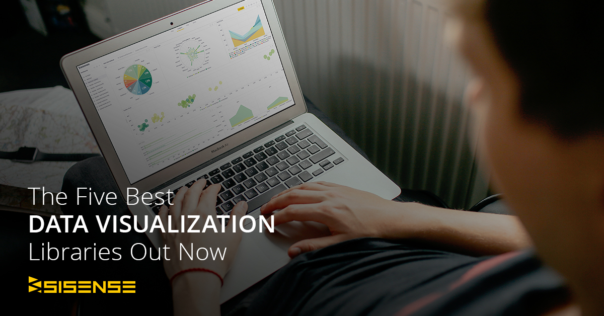 The Five Best Data Visualization Libraries Out Now l Sisense