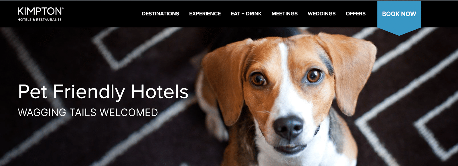 10 PetFriendly Hotels in the USA Sixty and Me