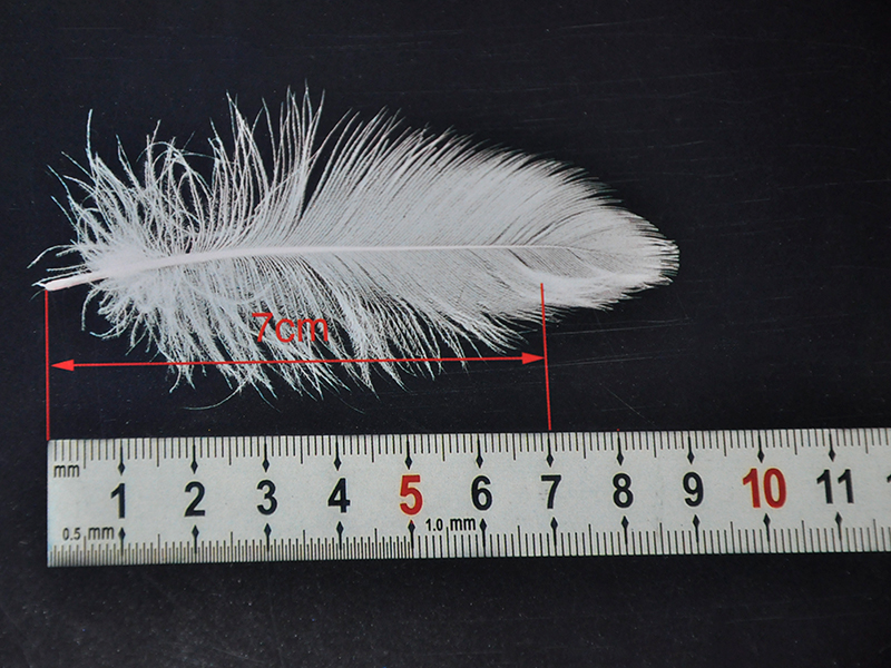 Composting Feather Pillows Benefits Methods And Environmental Impact