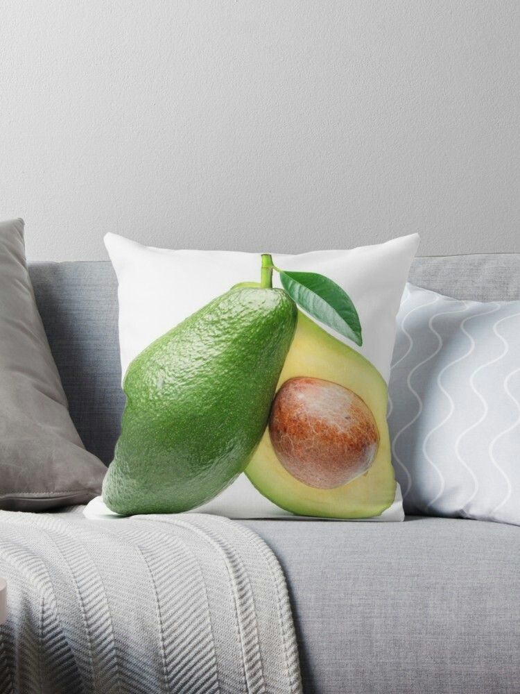 How To Get Rid Of Lice And Bedbugs Sleepation