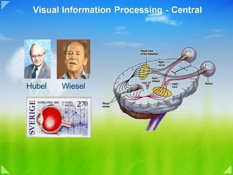 08b vision processing form and shape