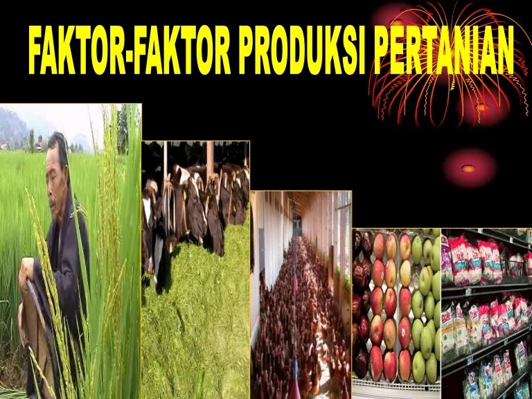 Yang Termasuk Faktor Produksi Adalah Belajar