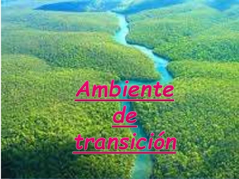 Ambientes de transicion