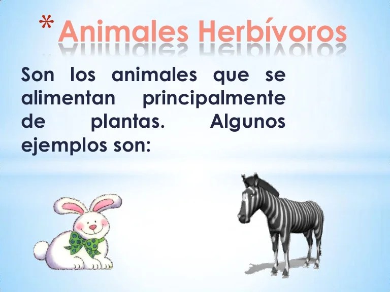 Animales herbívoros Animales herbívoros