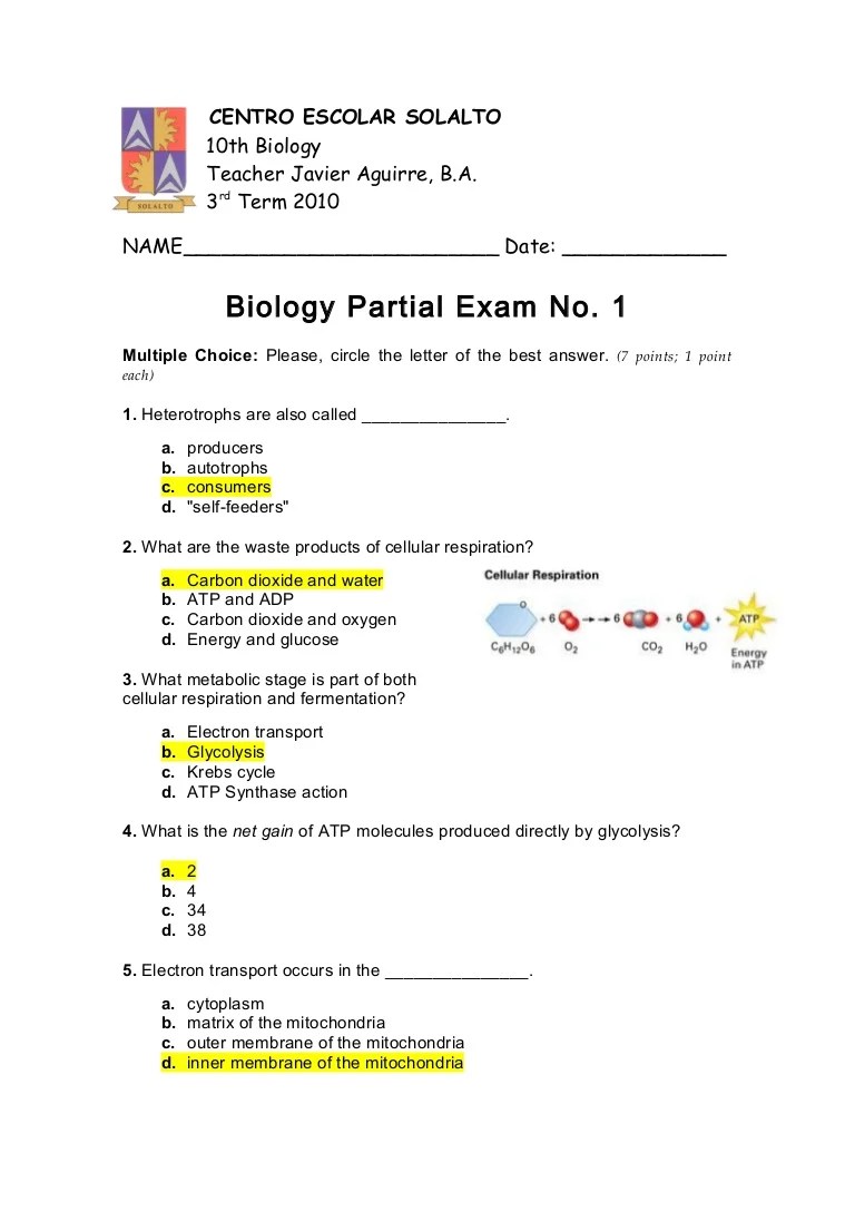 Adp Atp And Cellular Respiration Powerpoint Question Guide Answer Key Answer Key Quiz No. 1 (3Rd Mp 2010)