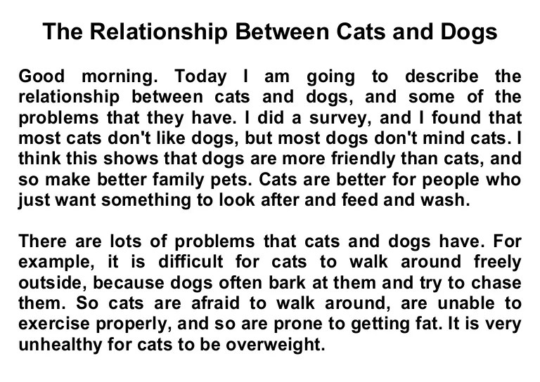 Bad Example Presentation