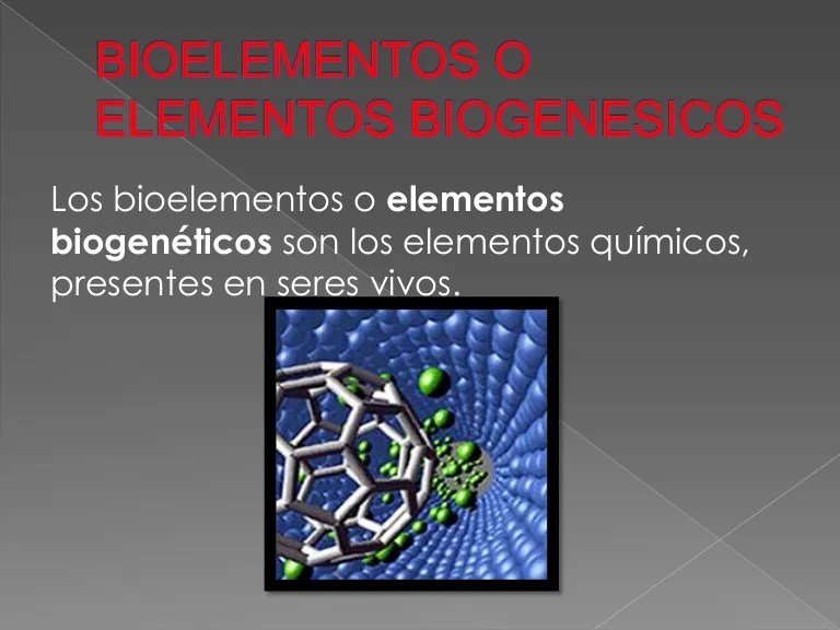 Bioelementos o elementos biogenesicos