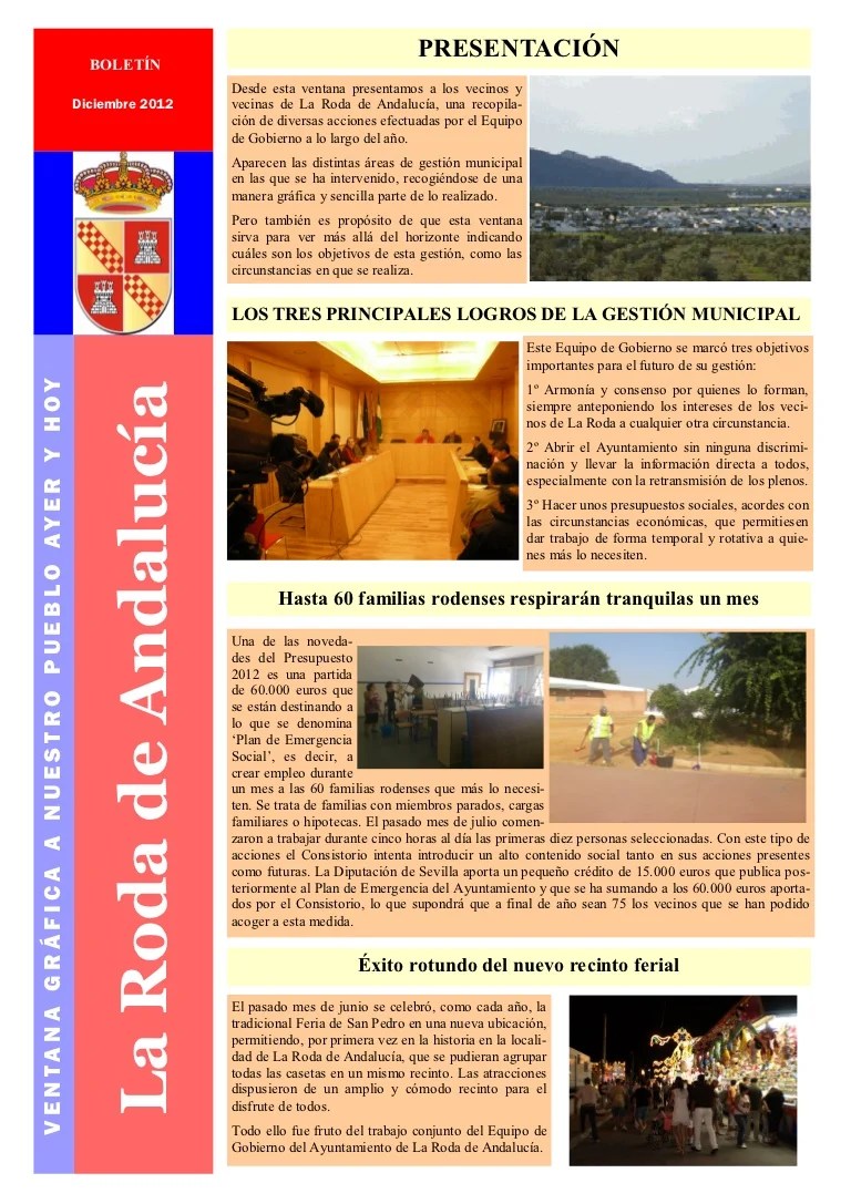 Boletin informativo diciembre 2012