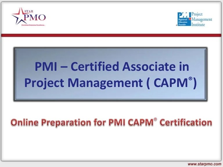 Online Capm Training