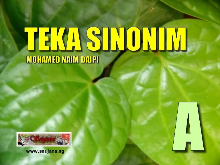 SINONIM 2