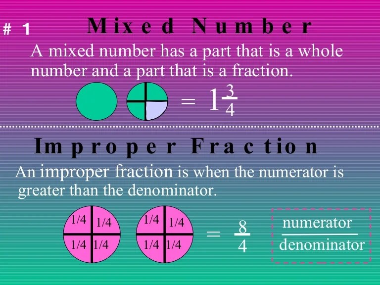 Chapter 2 Study Guides