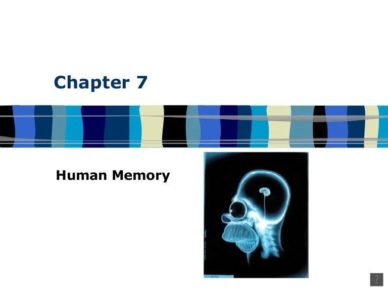 Chapter 7 Memory