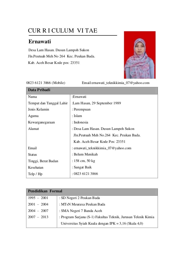 Contoh Curriculum Vitae Bahasa Inggris Fresh Graduate Mosaicone