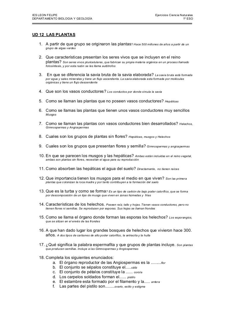Examen Plantas