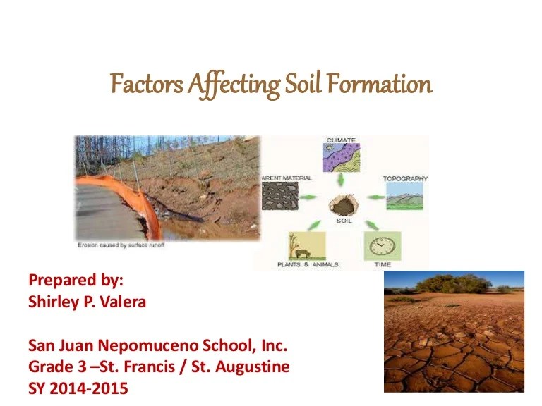 Factors affecting soil formation