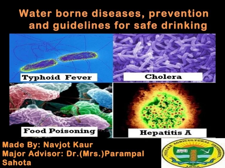 Water borne diseases, prevention and guidelines for safe drinking wat…