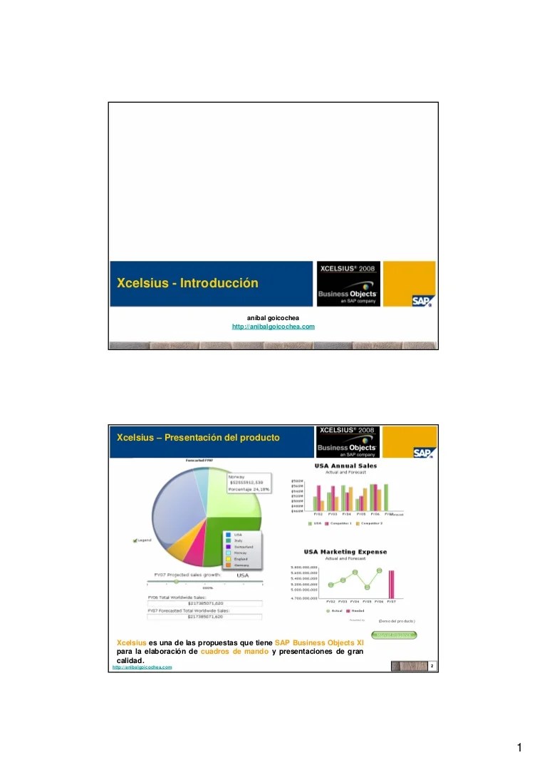 Xcelsius SAP Business Objects XI