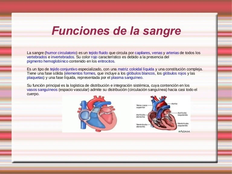 Funciones de la sangre